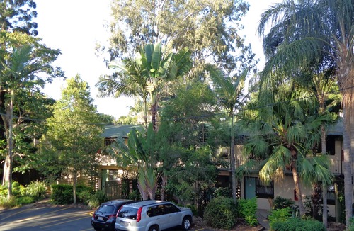 Indooroopilly Hotel | Forest Lodge Apartments