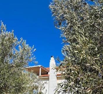 Batsi Villa | Gorgeous private Villa with sea view!