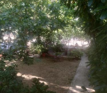 Paleopoli House | Harmonia