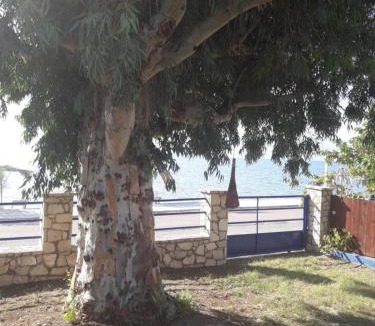 Sarakiniko Apartment | Holiday Tolofona Beach