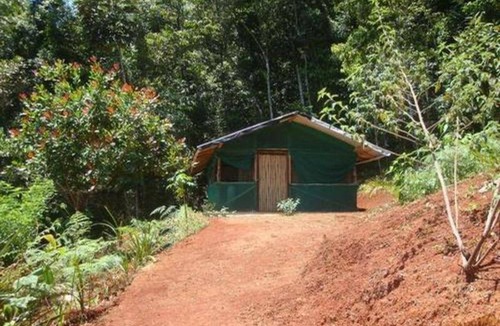 Sierpe Hostel | Hostel ∙ 8 guests
