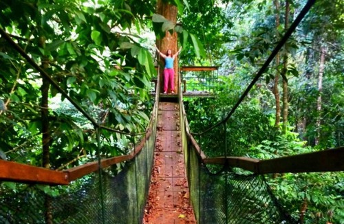 Drake Bay Hostel | Hostel ∙ 8 guests