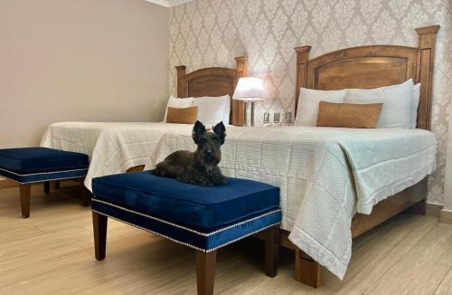 Avenida Revolucion Hotel | Hotel Caesars