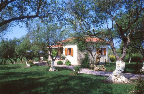 Skafidia House | Idyllic gem, surrounded by olive groves, close to the sea.