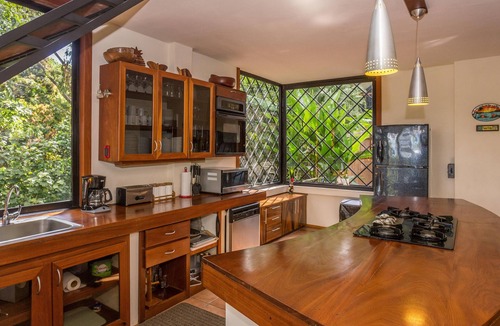 Manuel Antonio Villa | Incredible Tropical Retreat Full of Monkeys, Sloths, Toucans and much more
