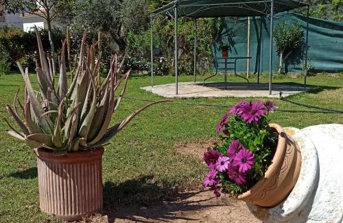 Itea House | Itea's Garden House