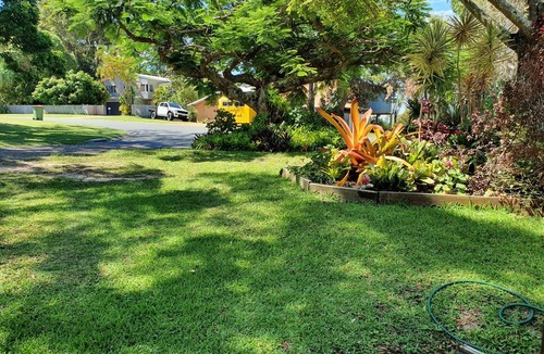 Point Lookout Apartment | Koala Corner. Comfy one bedroom studio set in landscaped gardens.