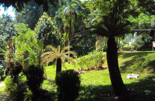 Quebrada La Gamba Hotel | La Purruja Lodge