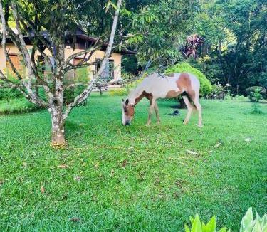 Quebrada La Gamba Hotel | La Purruja Lodge