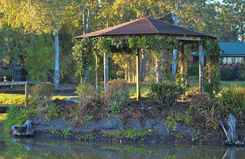 Peregian Beach House | Lake Weyba Cottages - House