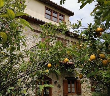 Avlonarion Villa | Large Stone Villa with garden.