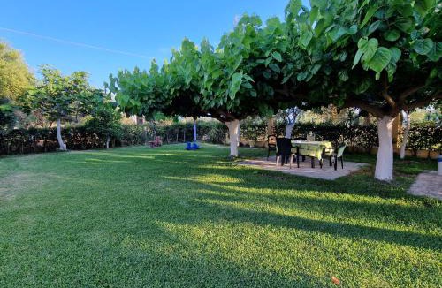 Zalongo Apartment | Lemi Apartments