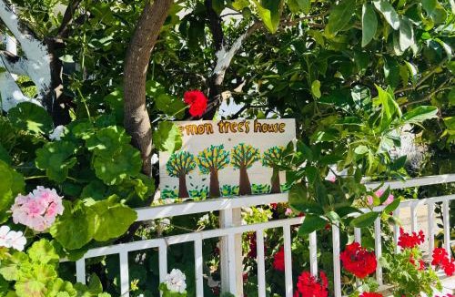 Kalavarda House | Lemon tree's house