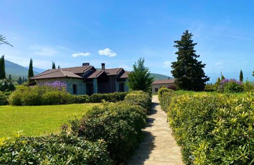 Amfikleia-Elateia Apartment | Lithos Villas