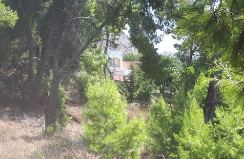Larissos Villa | LIVING IN NATURE VILLA 200 m2.,4 bed 3 baths in 12.000 m2 field.