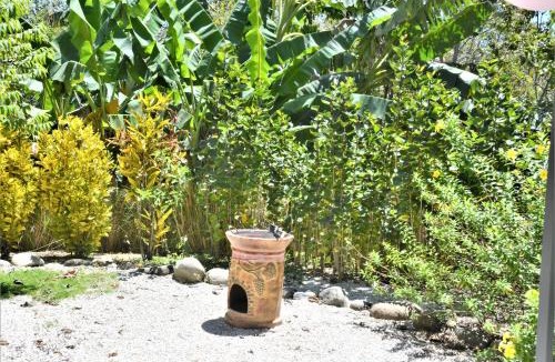 Paquera Bed & Breakfast | Lodge Margouillat