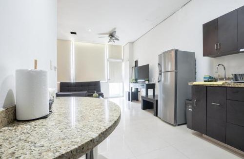 San Pedro Garza Garcia Apartment | LoftStudio 2C