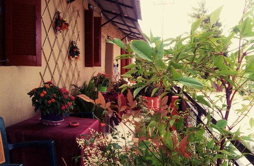 Vatopedi House | Maison des amis - 4 season guest house