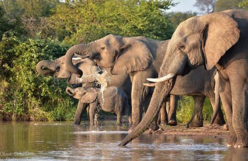 Hoedspruit House | Mohlabetsi Self Catering Bush Lodge