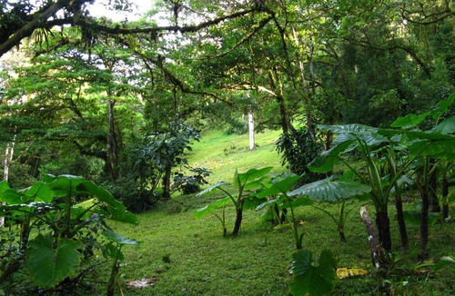 Monteverde House | Naturalist's Cloud Forest Retreat