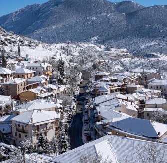Arachova House | Paeonia Arachova