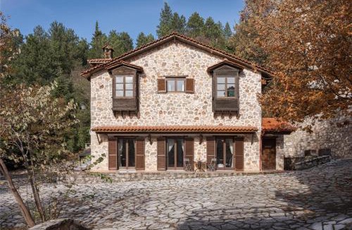 Amfikleia-Elateia Ski Chalet | Parnassus Woodstone Chalet