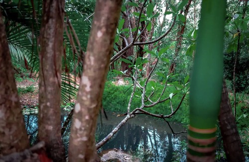 Mudgeeraba Cabin | Peaceful Kookaburra cabin in Mudgerabah, fire pit