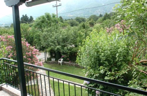 Ano Kariotes Apartment | Petrouda's Apartments