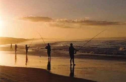 Orchid Beach House | Piccadilly Place - located at Orchid Beach - Fraser Island