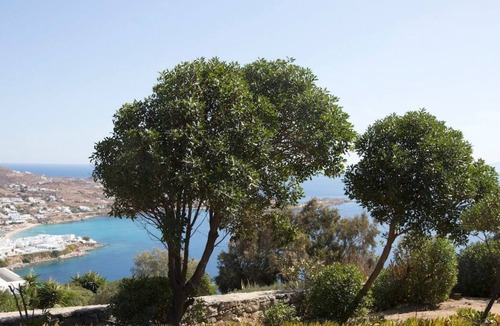 Psarou Villa | Psarrou villa for 10 guests