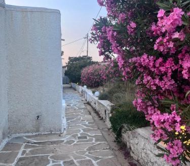 Naxos Apartment | Pyrgaki hideway