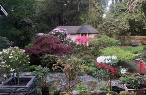 Edgemont Ski Chalet | Quiet Backyard Cabin