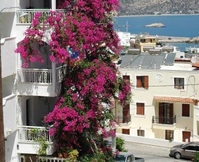 Karpathos Apartment | Roses Studios