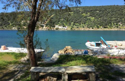 Mpoufalo Apartment | Sea Front Studio - Porto Buffalo - Evia