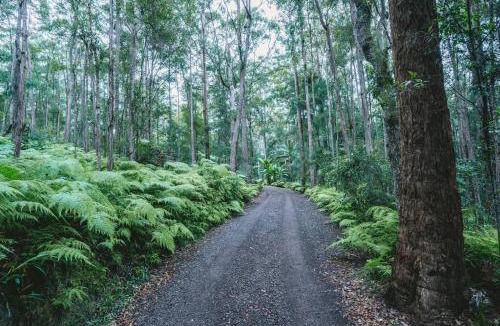 Verrierdale House | Secluded Retreat in Noosa Hinterland