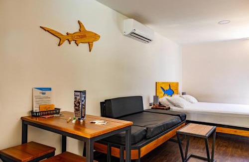Carmen Apartment | Shark Town Mal Pais