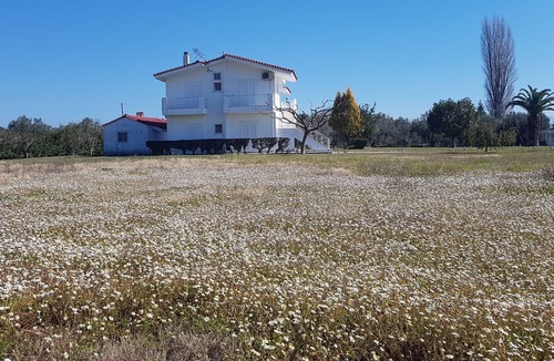 Stylida Villa | Silver villa Raches, Green, Kite Surfers Spot