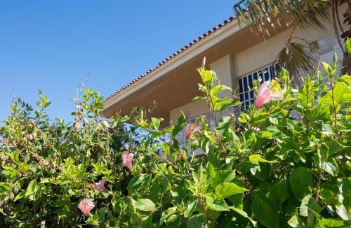 Platistomo Apartment | Sunset Beach House