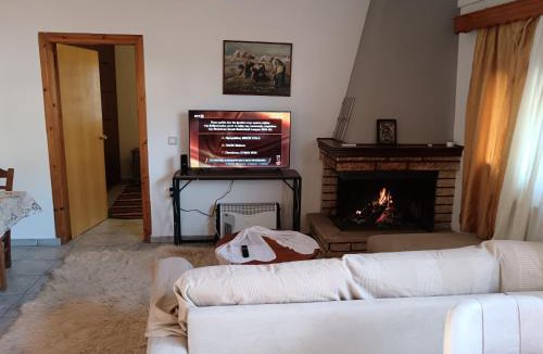 Karpenisi Apartment | Super central apartment with a view