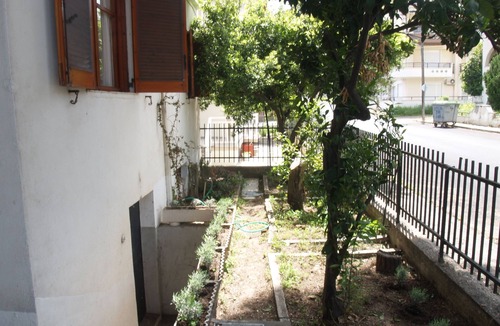 Nea Potidaia House | The house with the palm tree
