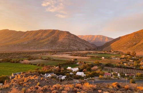 Prince Albert Villa | The Olive House, Prince Albert
