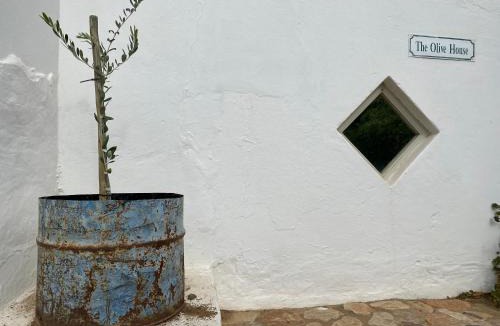 Prince Albert Villa | The Olive House, Prince Albert