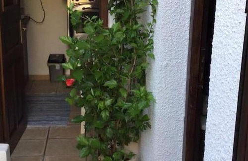 Aegina Town House | Theonis House. Hearth of town with roof-garden