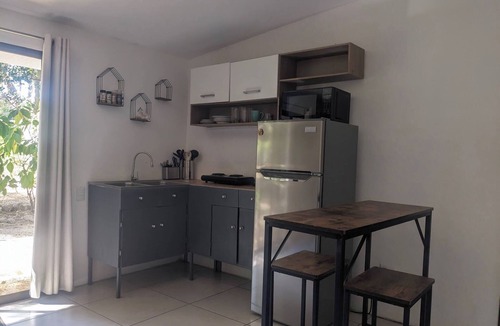 Coco Apartment | Tranquil Jungle Studio Retreat Near Del Coco Beach