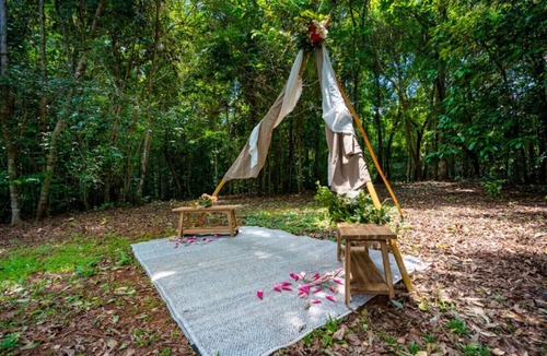 Mission Beach Condo | Tranquility Garden Cabin | Luxury Rainforest Meets Reef | Sleeps up to 5