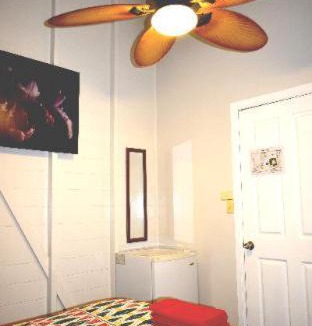 Parramatta Park Hostel | Travellers Paradise
