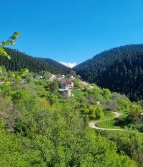 Lamia House | Tsigaridas Mountain Home