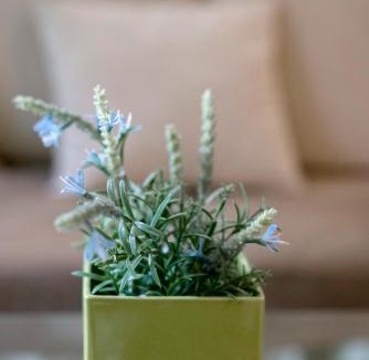 Agia Paraskevi Apartment | Valashouse