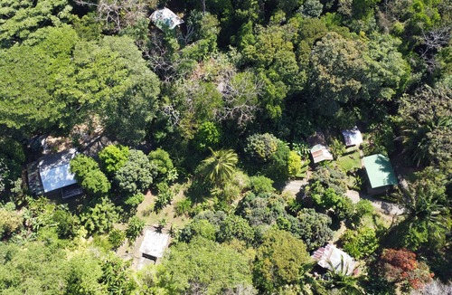 Quebrada La Gamba House | Very Near Corcovado Park. Basic bungalows in the forest surrounded by wildlife