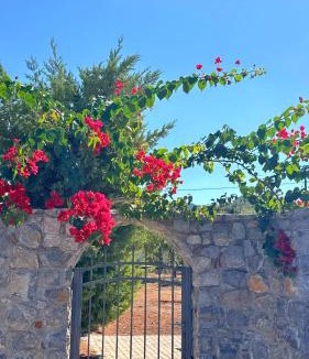 Koutsoupia House | View δύο υπνοδωματιων